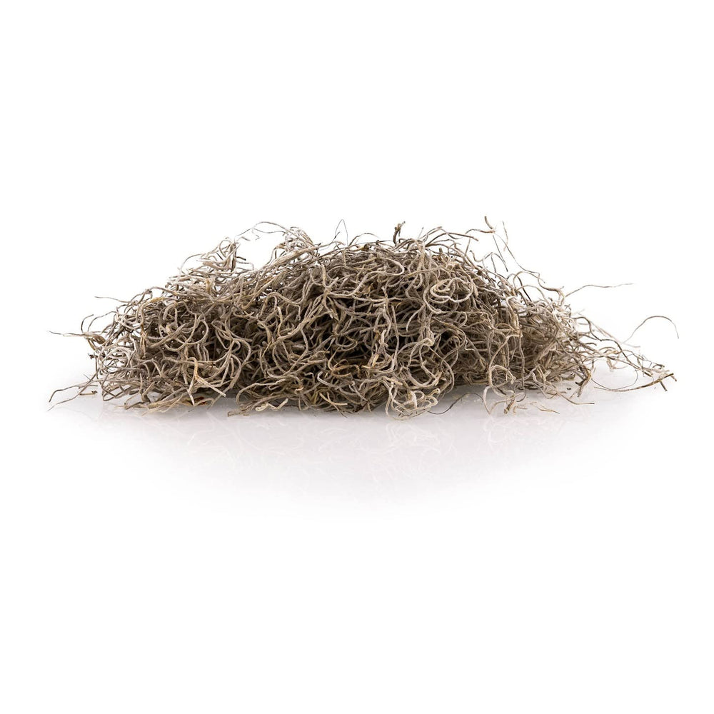 Gardenera Spanish moss used in a potted plant