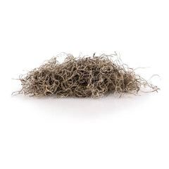 Gardenera Spanish moss used in a potted plant