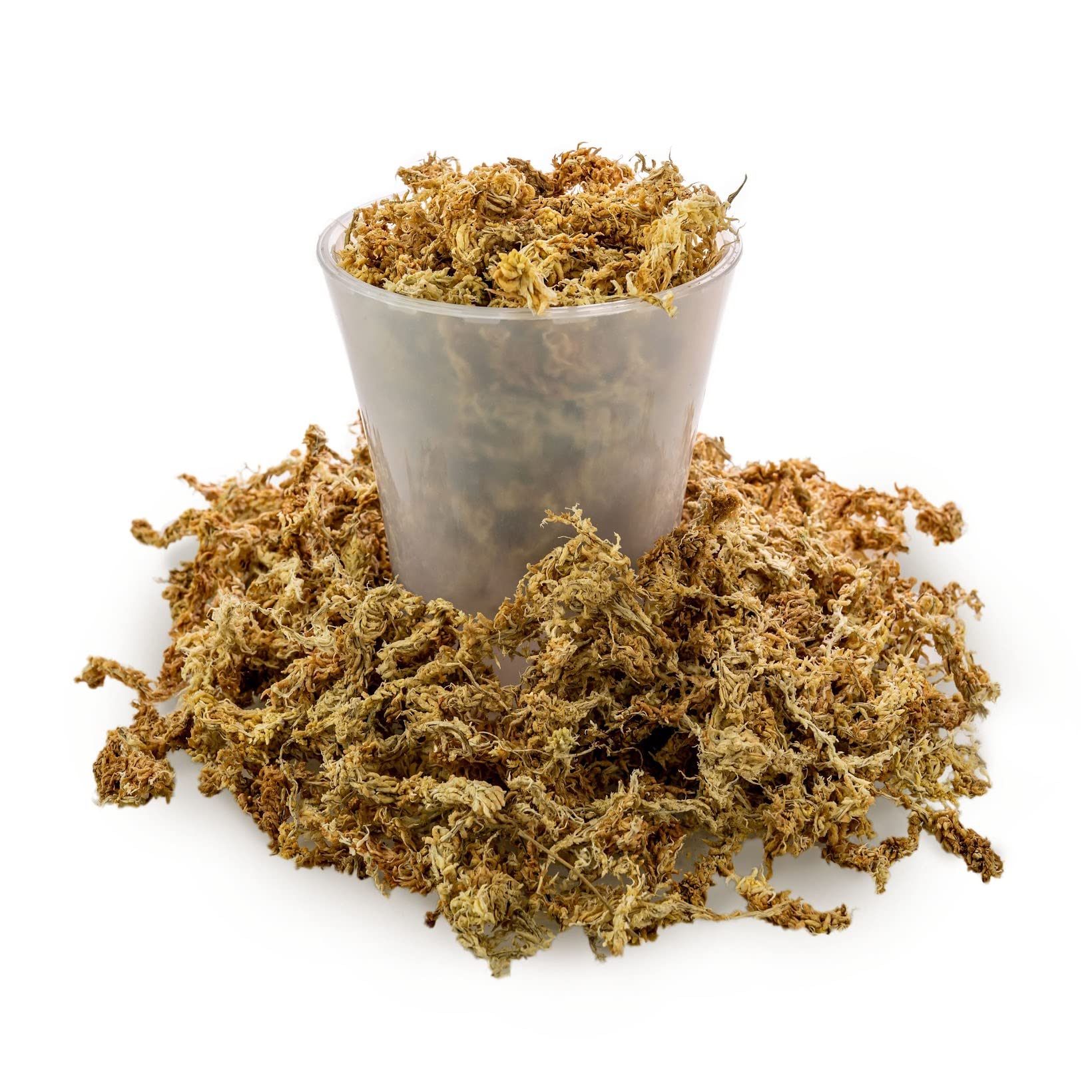 Gardenera Sphagnum Moss in a gardening setting