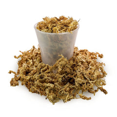 Gardenera Sphagnum Moss in a gardening setting