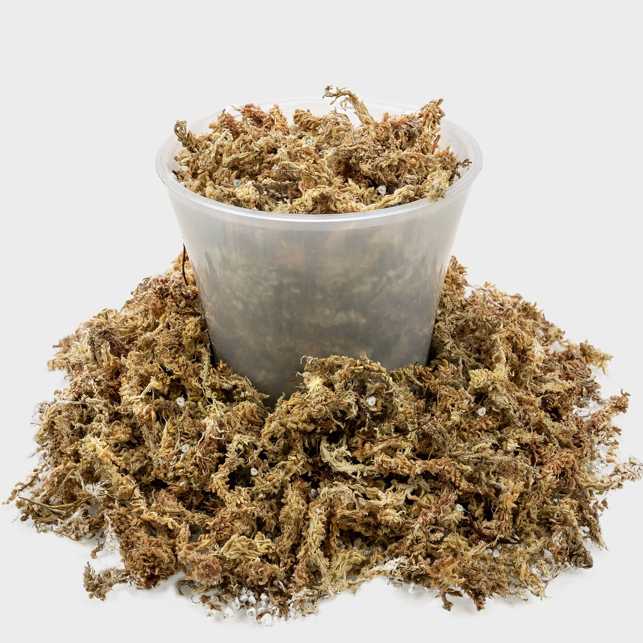Gardenera Sphagnum Moss Potting Mix soft texture