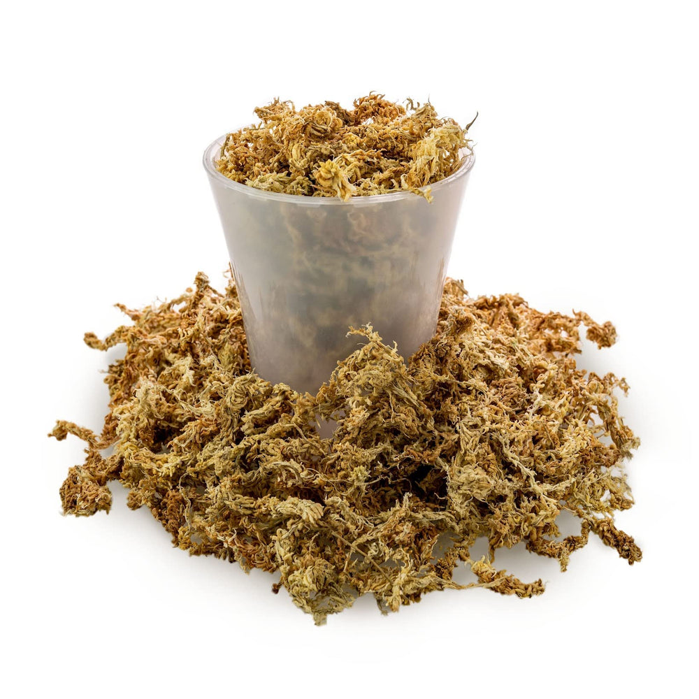 Gardenera Sphagnum Moss used in a hanging basket