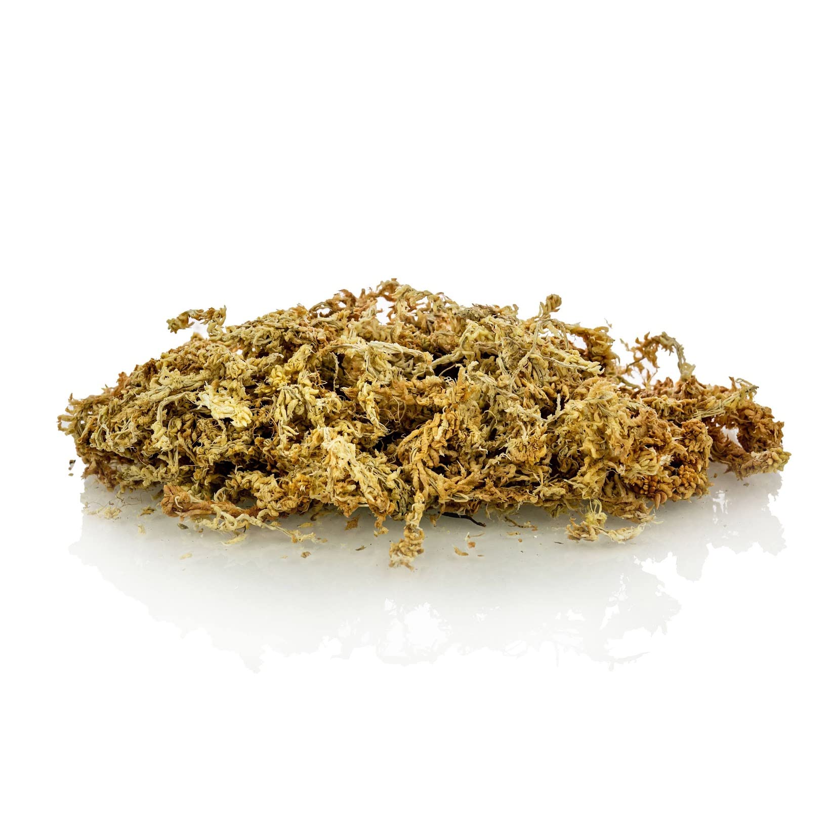 Gardenera Sphagnum Moss used in an orchid pot