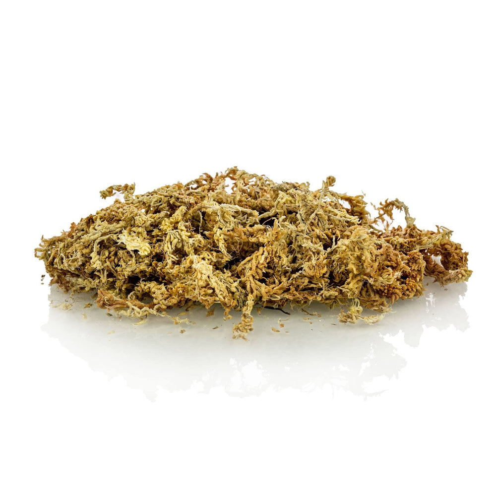 Gardenera Sphagnum Moss used in an orchid pot