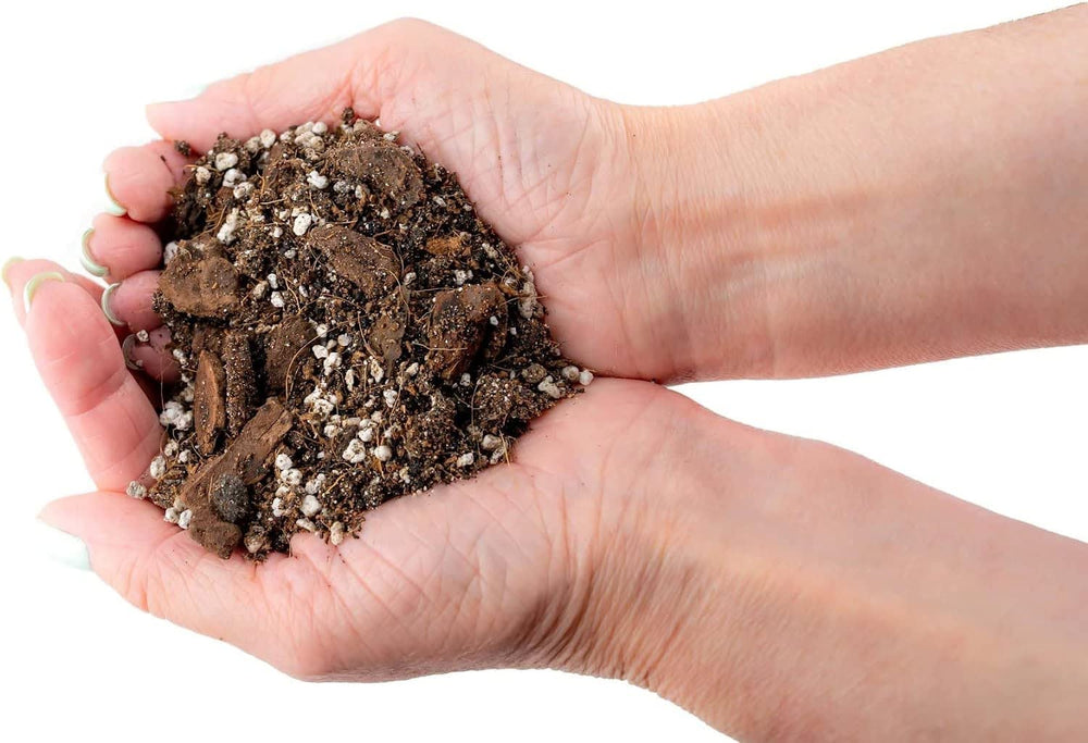 Gardenera Spider Plant Potting Soil Mix in a planting scenario