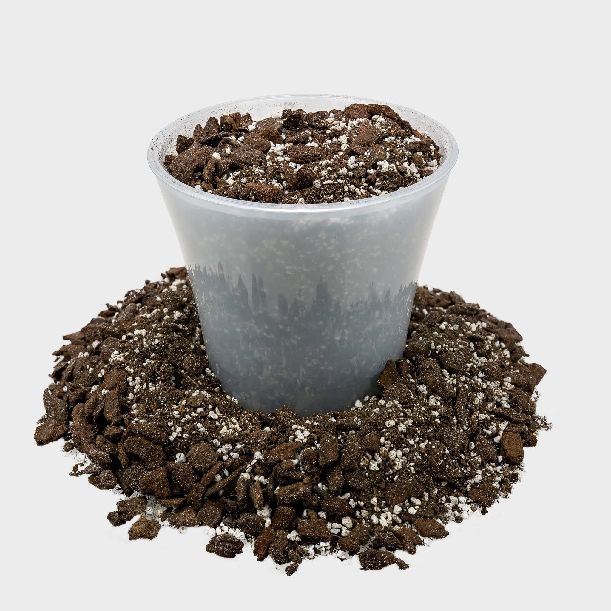 Gardenera succulent soil mix showing texture with peat moss and perlite