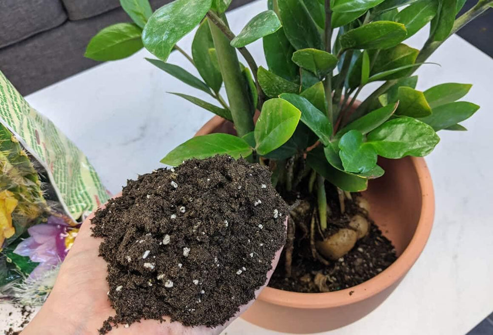 Gardenera ZZ Plant Potting Mix ingredients close-up