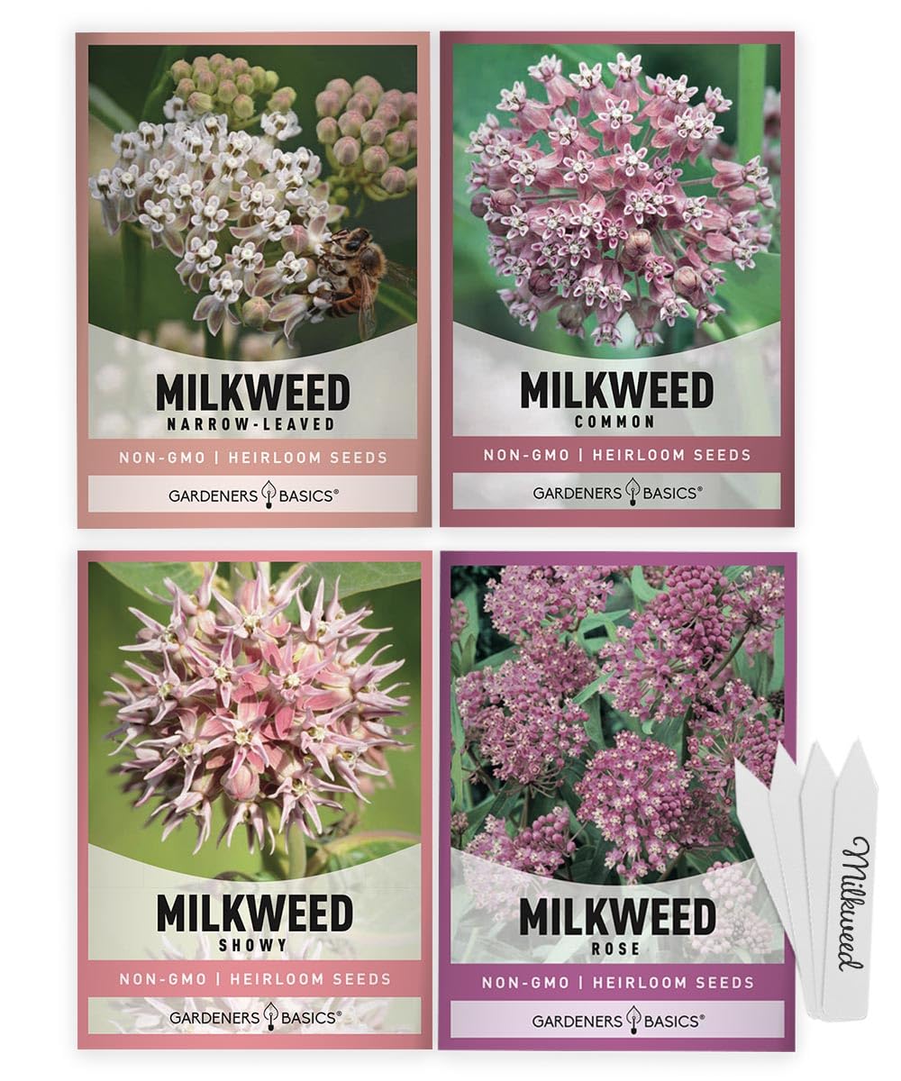 Gardeners Basics Milkweed Seeds for Monarch Butterflies, four seed packets