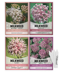 Gardeners Basics Milkweed Seeds for Monarch Butterflies, four seed packets