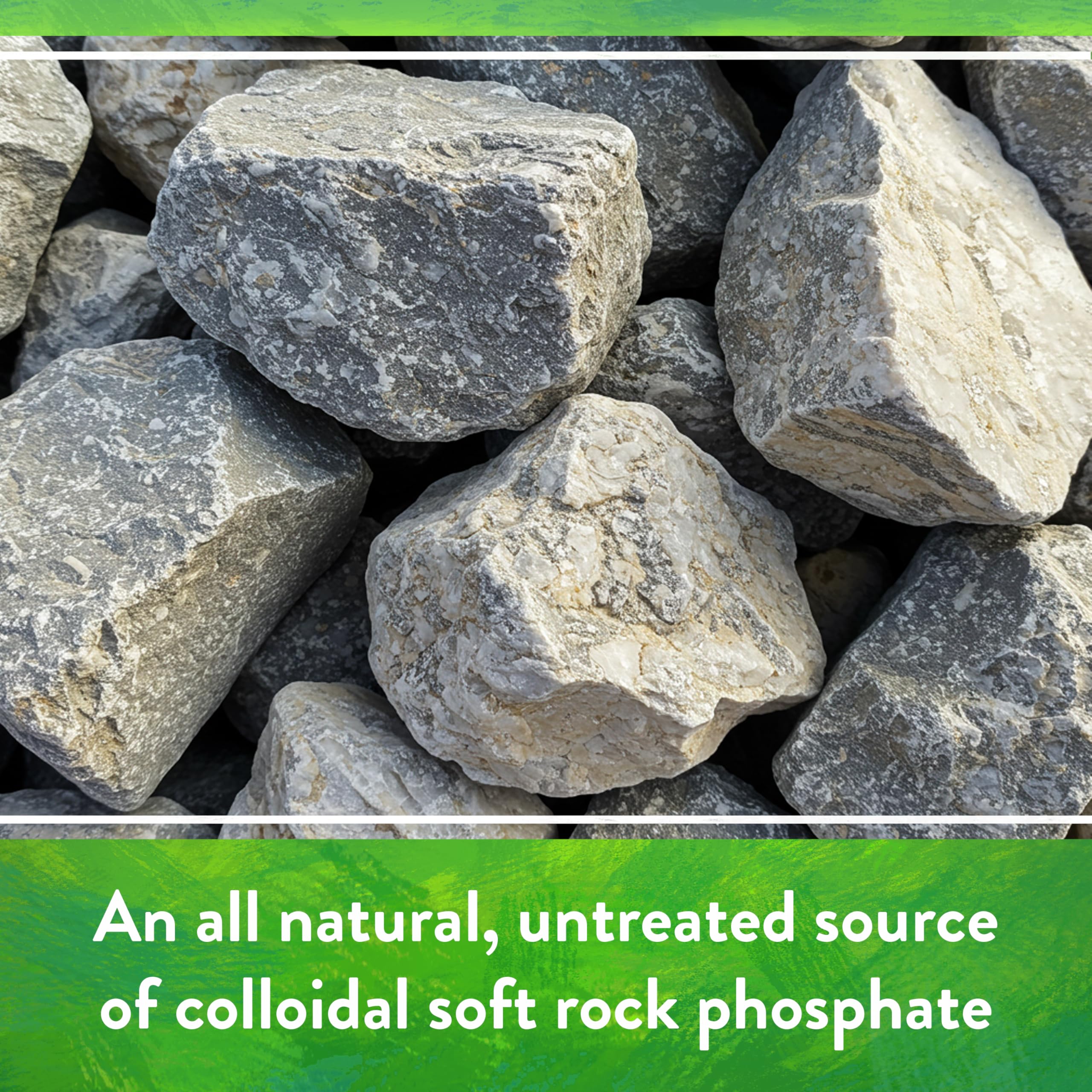 Gardening scene with Down To Earth Rock Phosphate in use