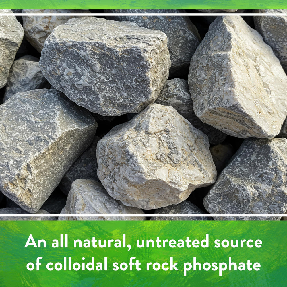 Gardening scene with Down To Earth Rock Phosphate in use