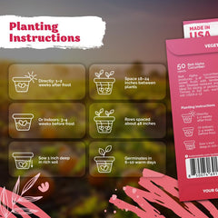 Gardening setup with KVITER Beit Alpha cucumbers