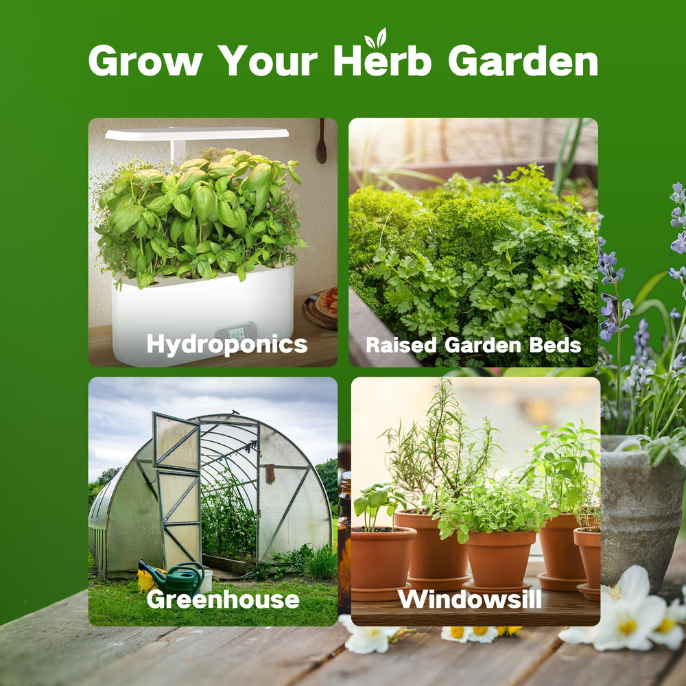 Gardening setup with LUSH&DEW seed kit on a windowsill