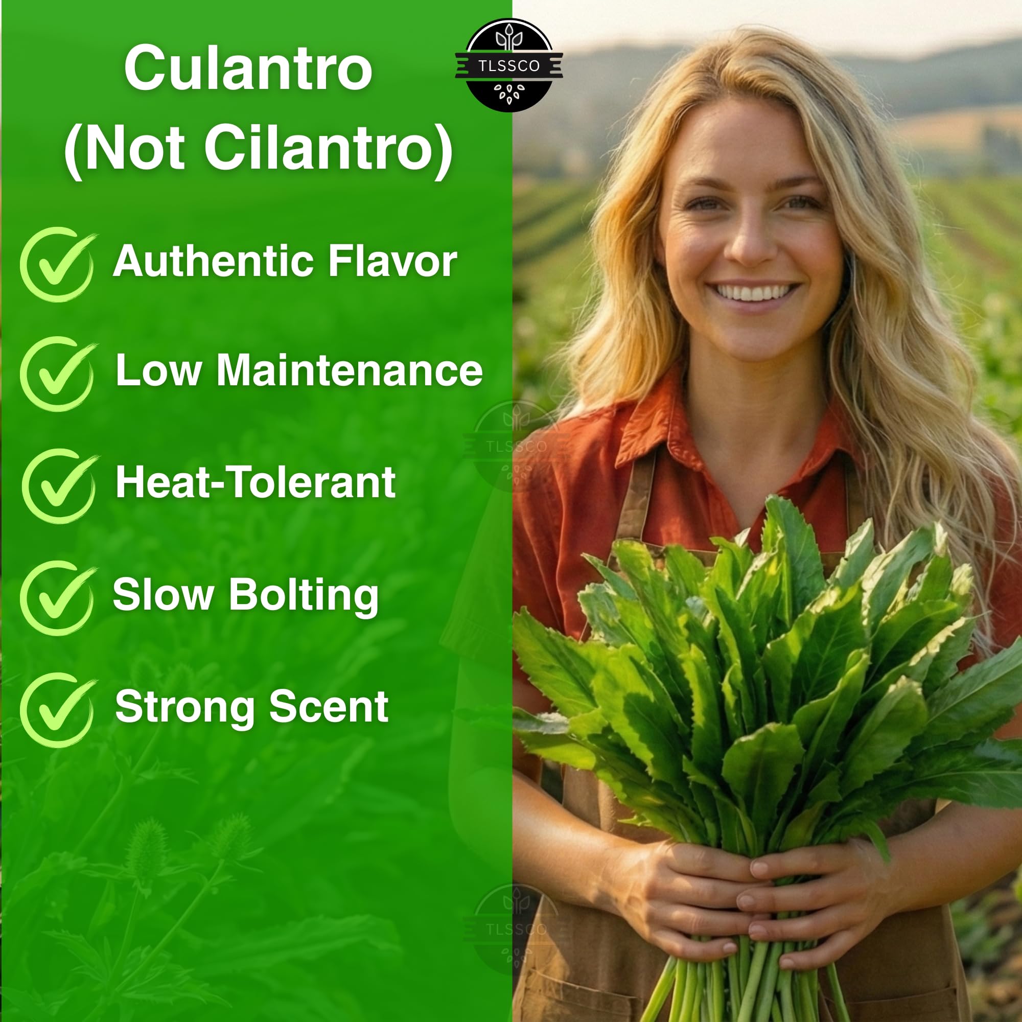 Gardening setup with TLSSCO Culantro seeds and planting tools