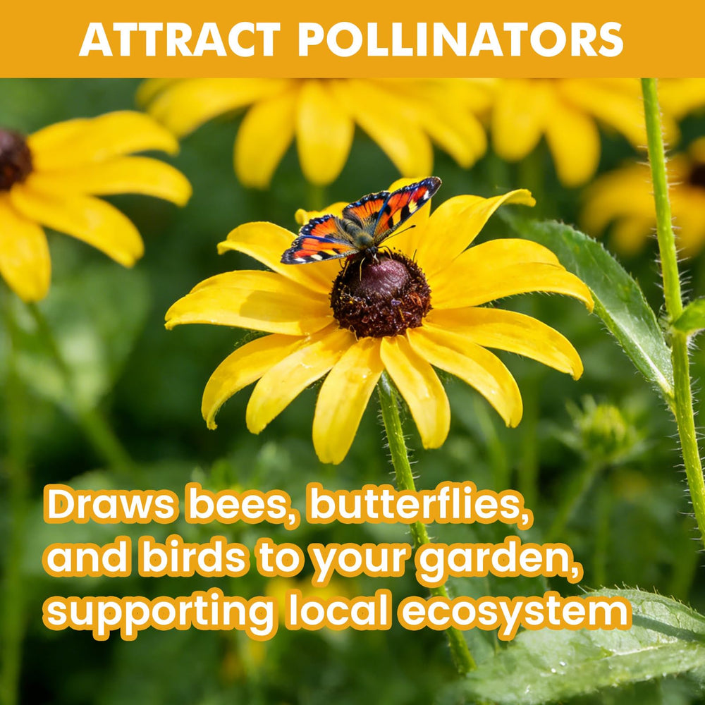 Gardening tools with Black Eyed Susan seeds