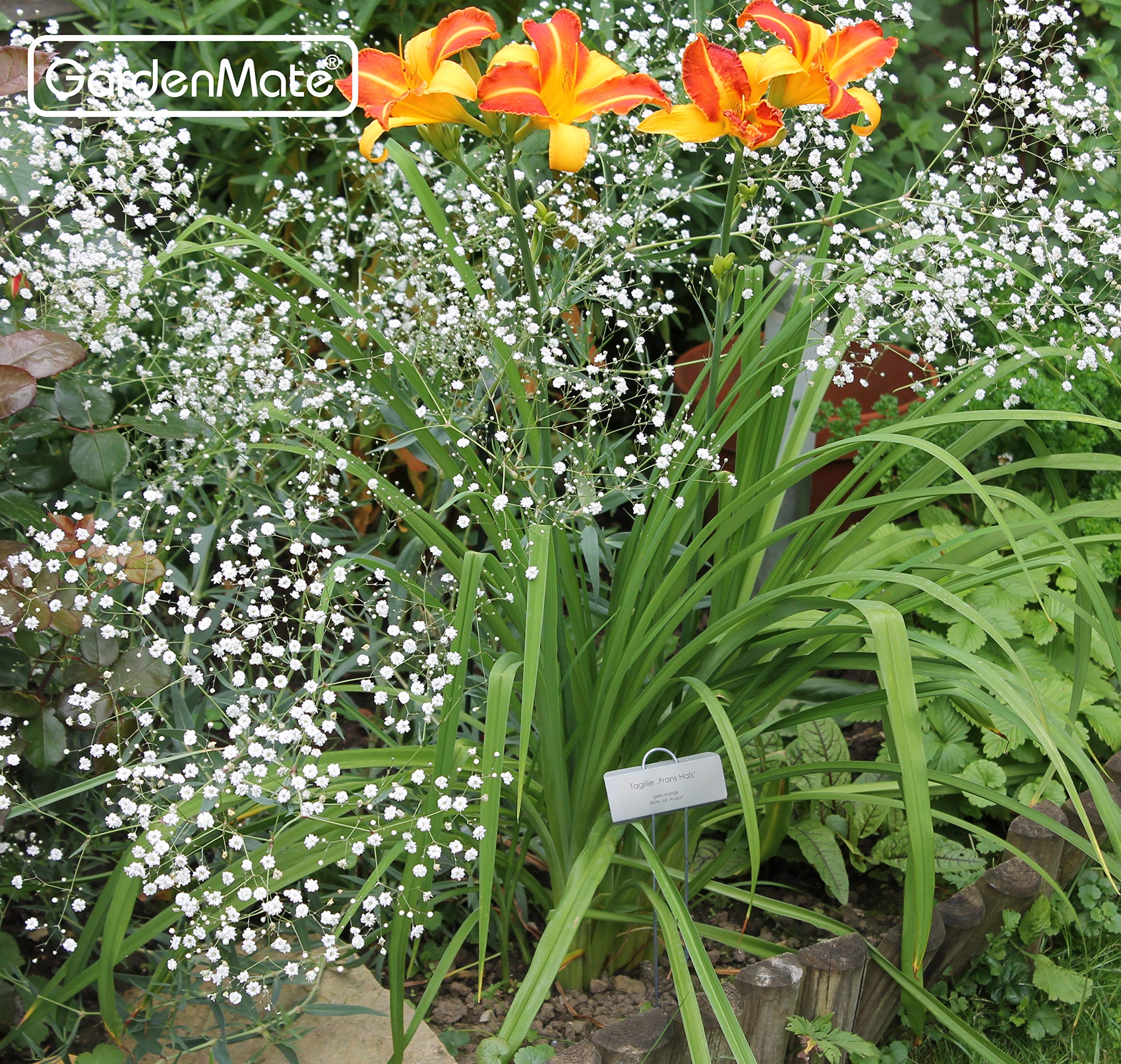 GardenMate labels showing writing area for plant names