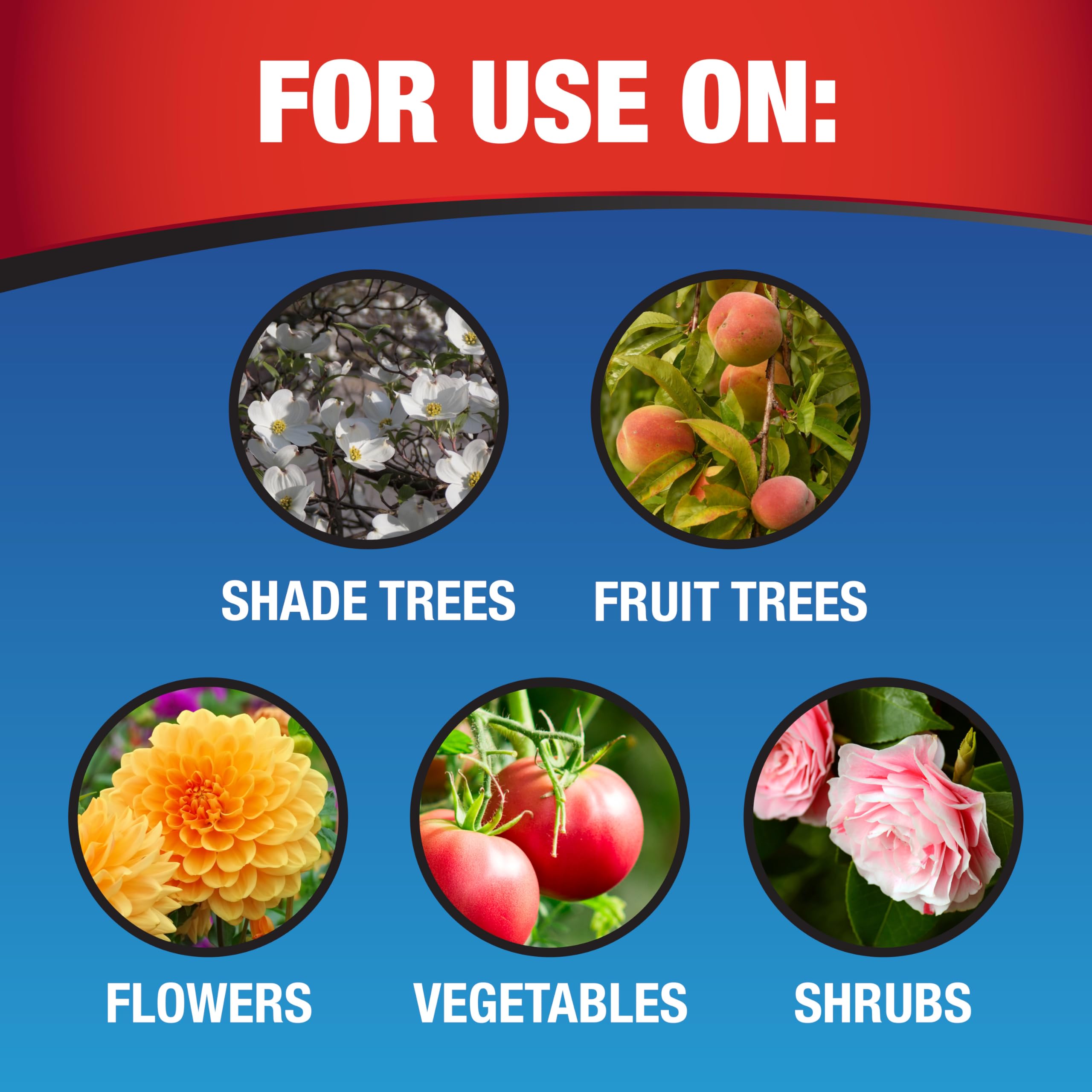 Gardentech Daconil Fungicide Concentrate with garden plants
