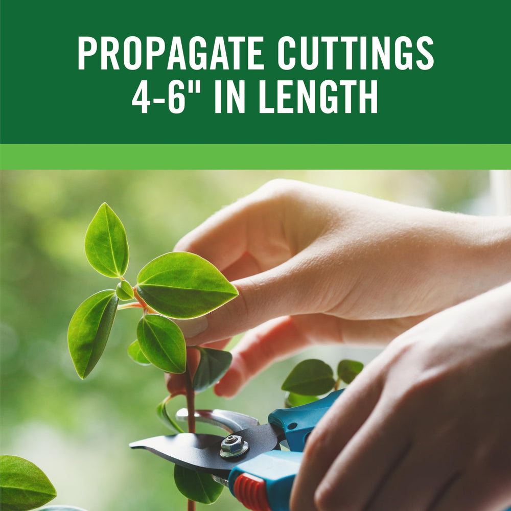 Gardentech RootBoost packaging with safety instructions