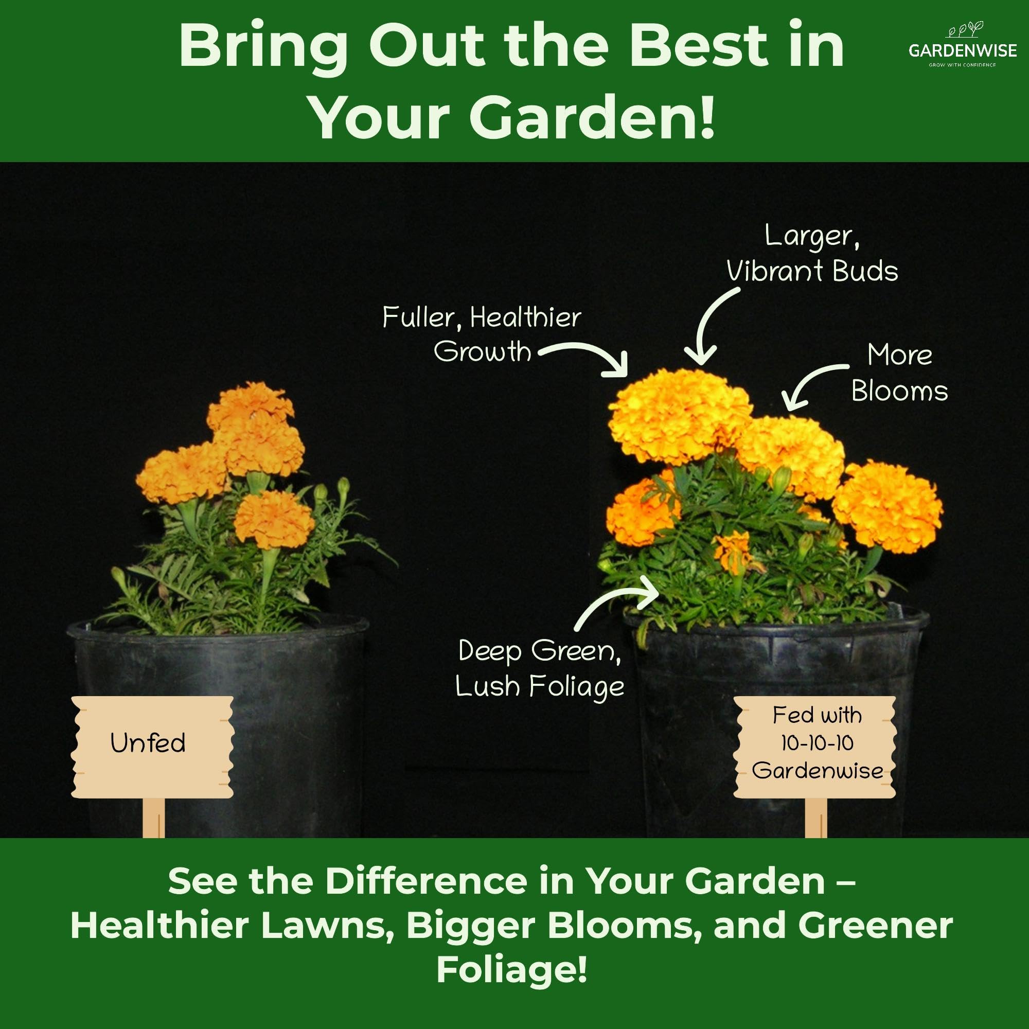 GARDENWISE 10-10-10 Granular Fertilizer spread on soil