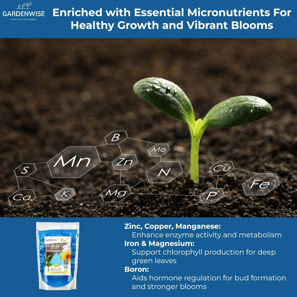 GARDENWISE 20-20-20 fertilizer application on flowers