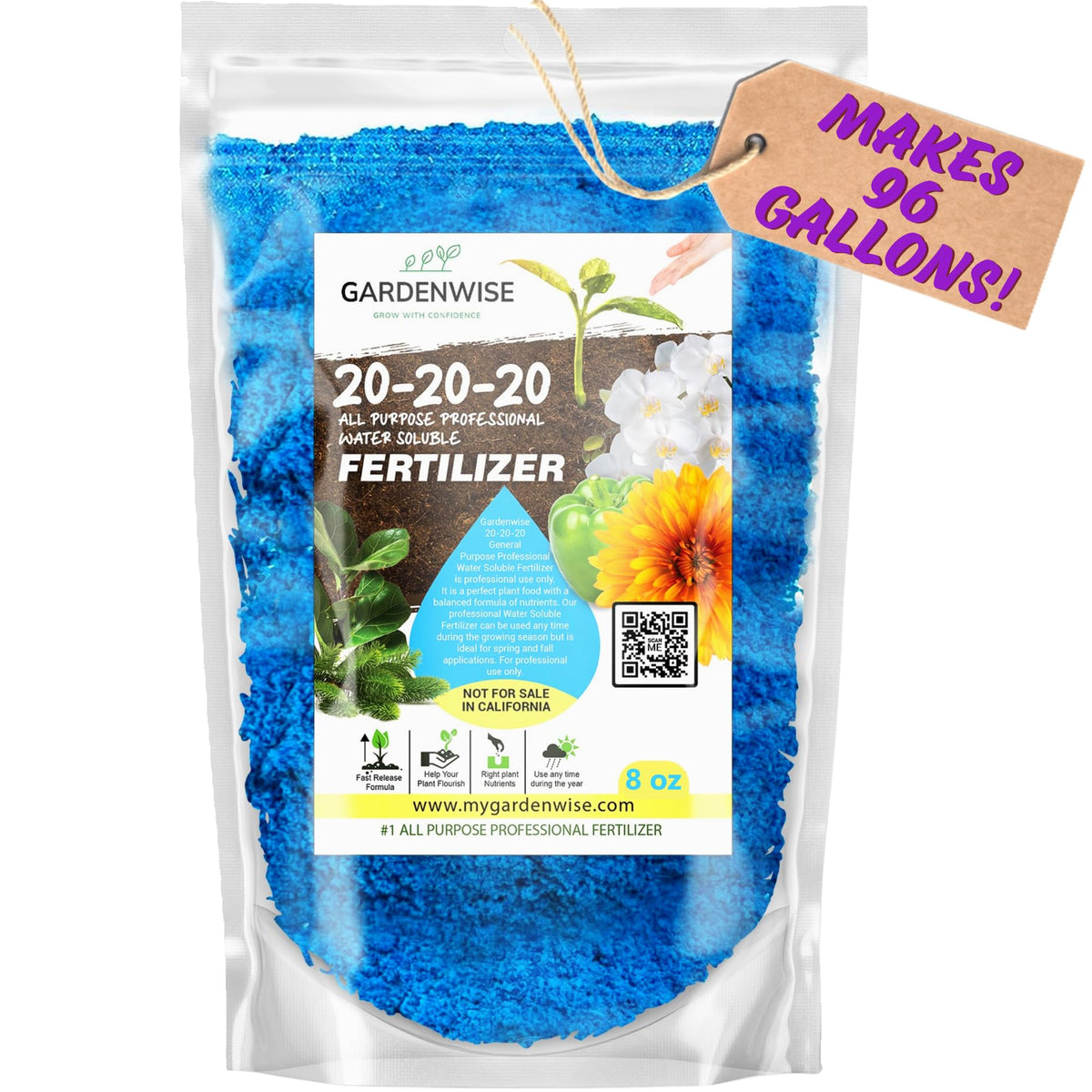 GARDENWISE 20-20-20 Water-Soluble Fertilizer front view