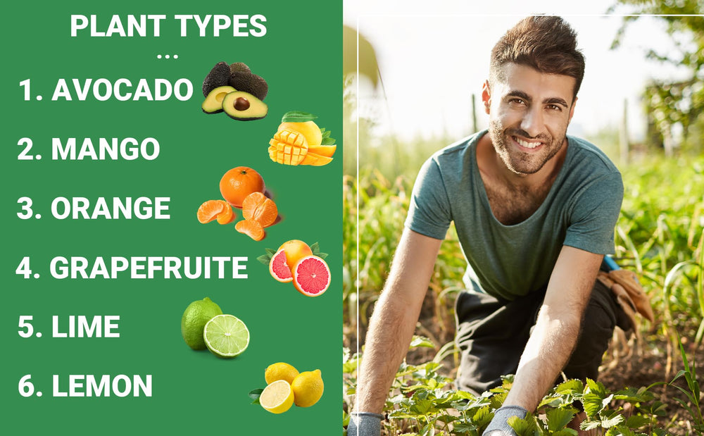 GARDENWISE 6-4-6 Fertilizer application process