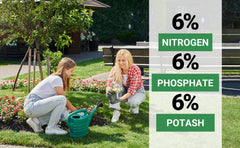 GARDENWISE 6-6-6 All-Purpose Fertilizer in a garden setting