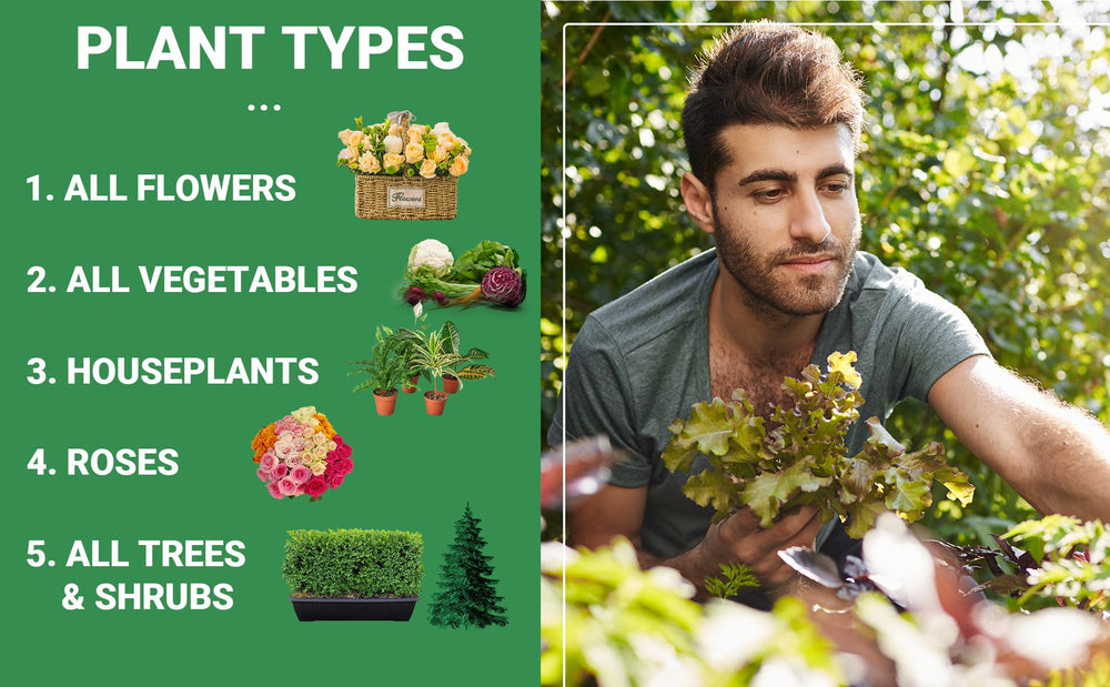GARDENWISE 6-6-6 All-Purpose Fertilizer with plants