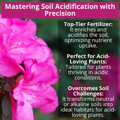 GARDENWISE 8-4-8 Fertilizer application around plants