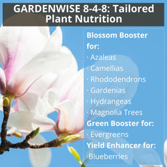 GARDENWISE 8-4-8 Fertilizer for vibrant hydrangeas