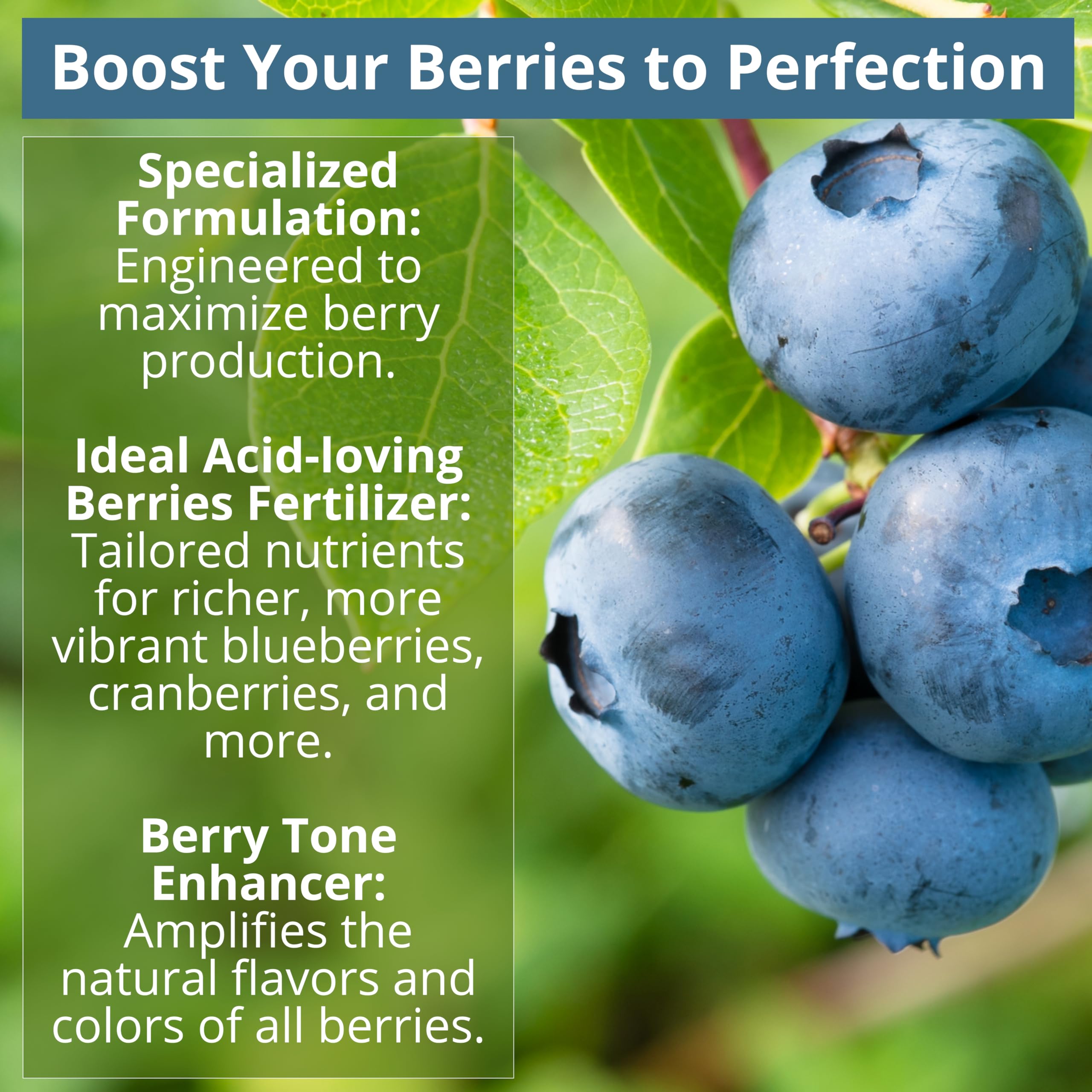 GARDENWISE 8-4-8 fertilizer ingredients list