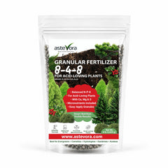 GARDENWISE Evergreen Fertilizer 4 quarts bag front view