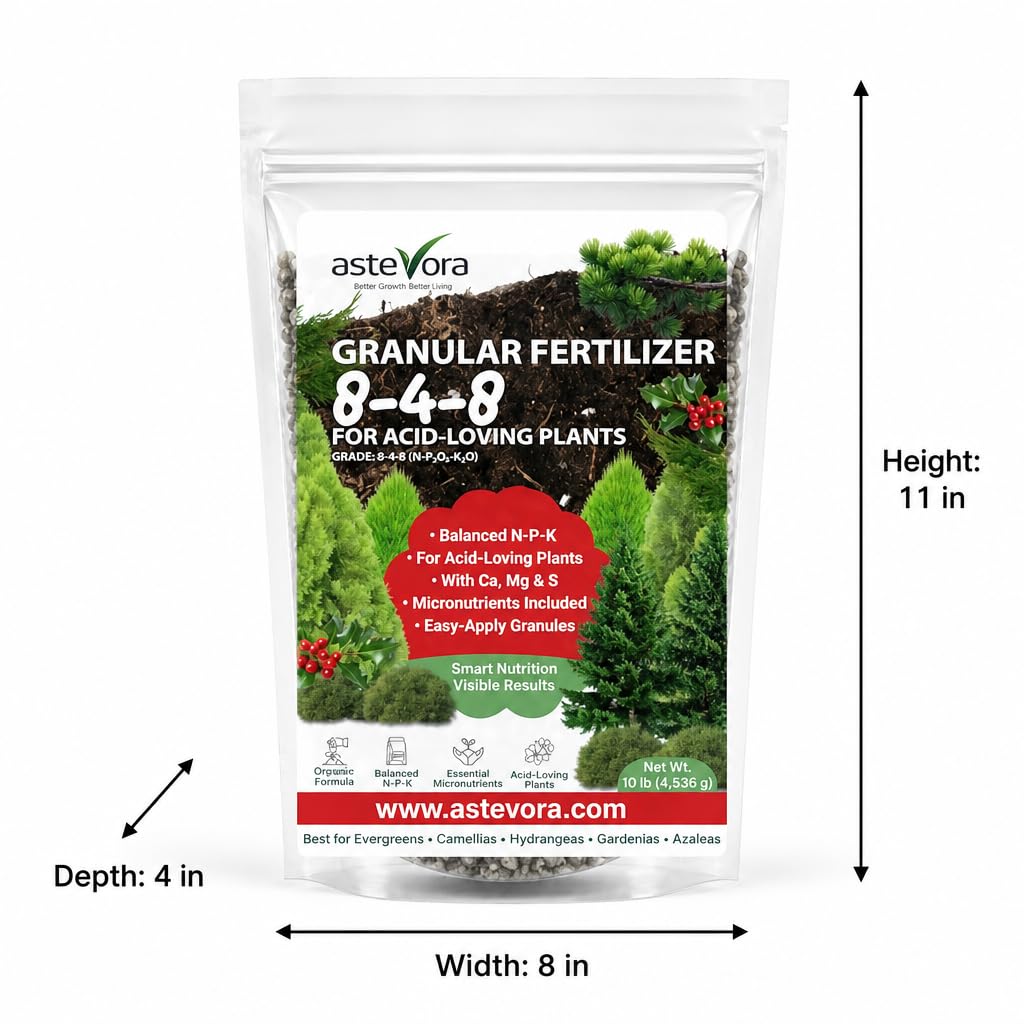 GARDENWISE Evergreen Fertilizer back view with ingredients