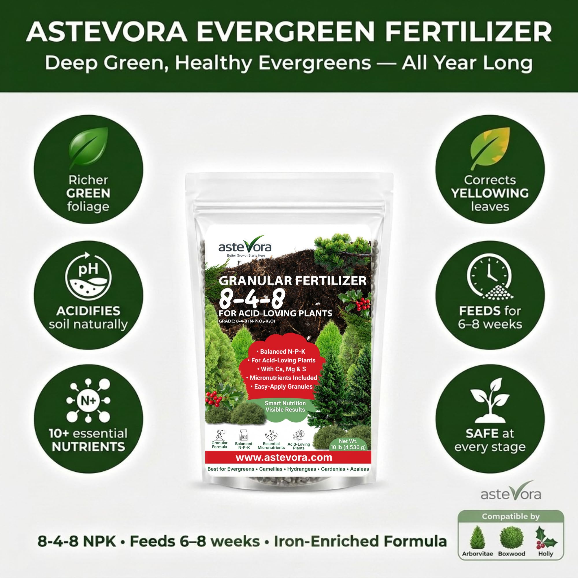 GARDENWISE Evergreen Fertilizer bag with clear label
