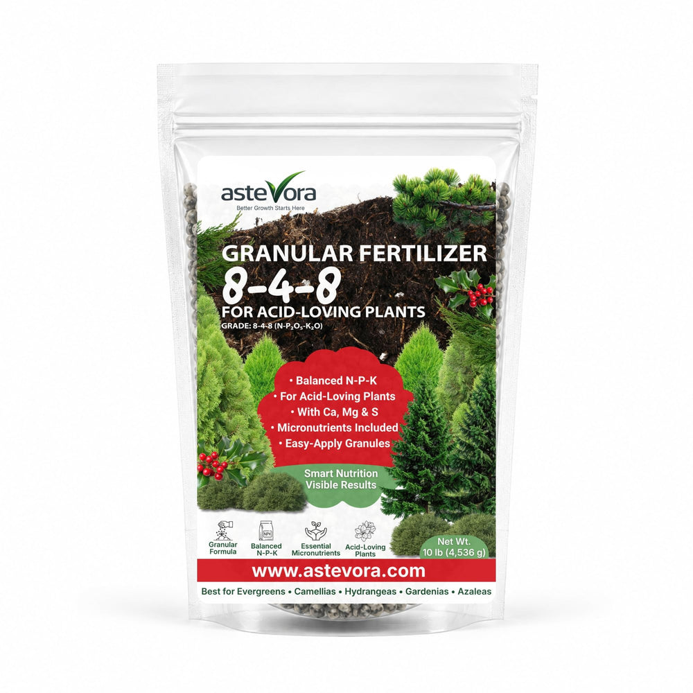 GARDENWISE Evergreen Fertilizer front view in packaging