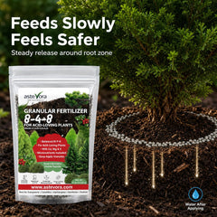 GARDENWISE Evergreen Fertilizer in garden setting