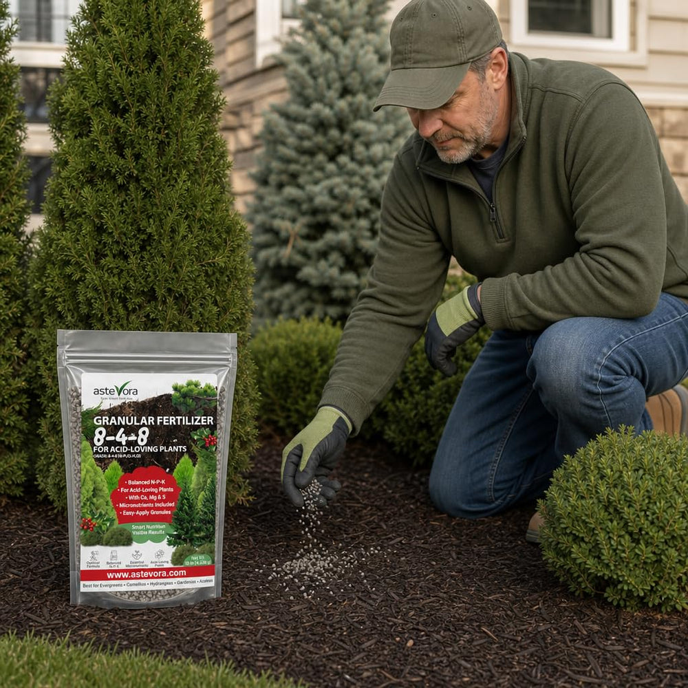 GARDENWISE Evergreen Fertilizer packaging details