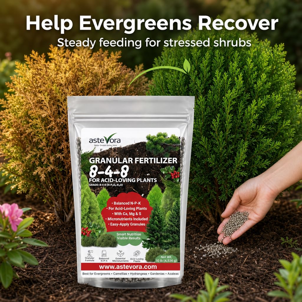 GARDENWISE Evergreen Fertilizer size comparison with a ruler