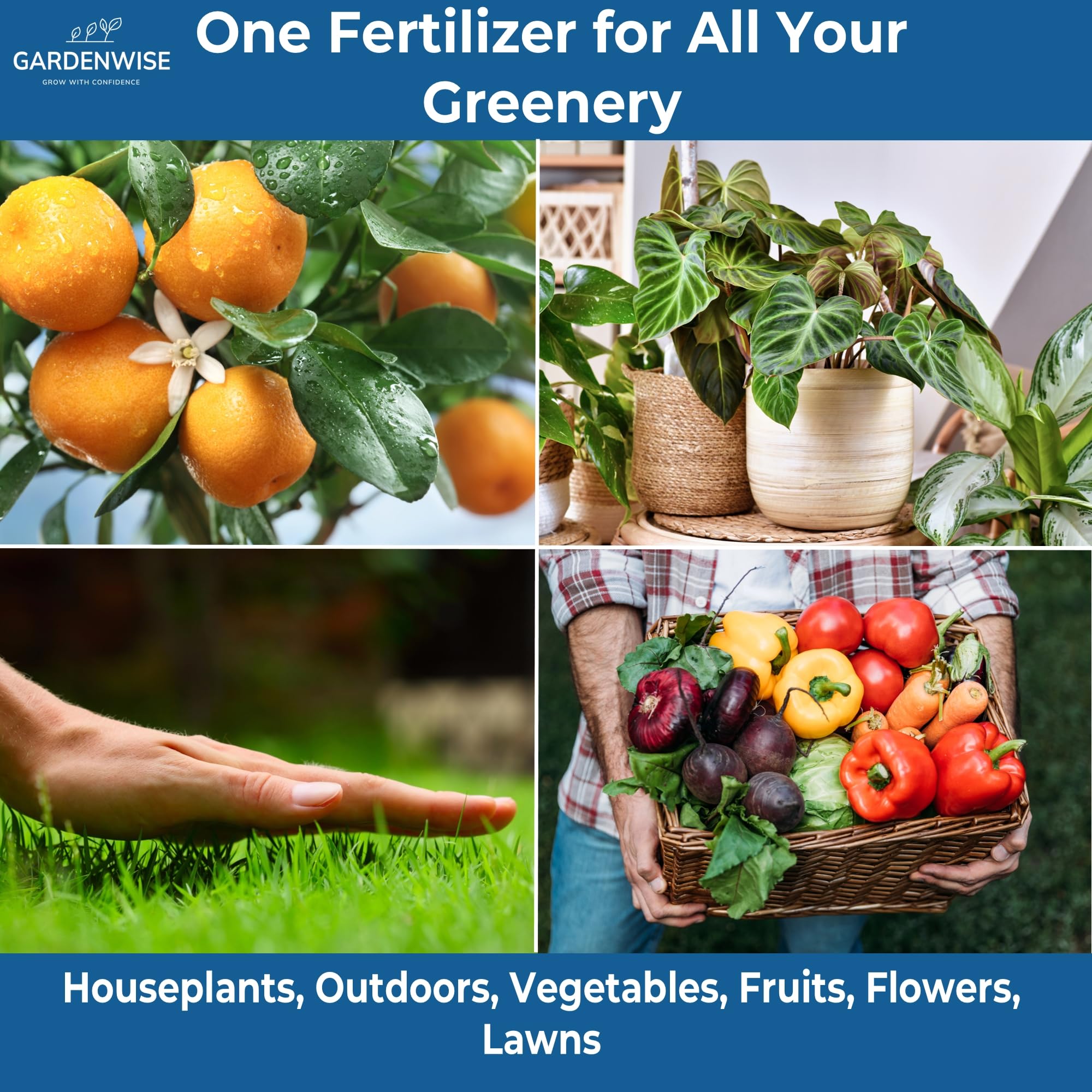 GARDENWISE fertilizer used on healthy indoor plants