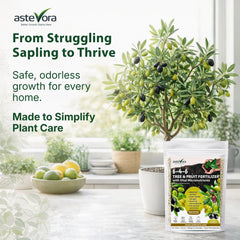 GARDENWISE Olive Tree Fertilizer back view with ingredient details