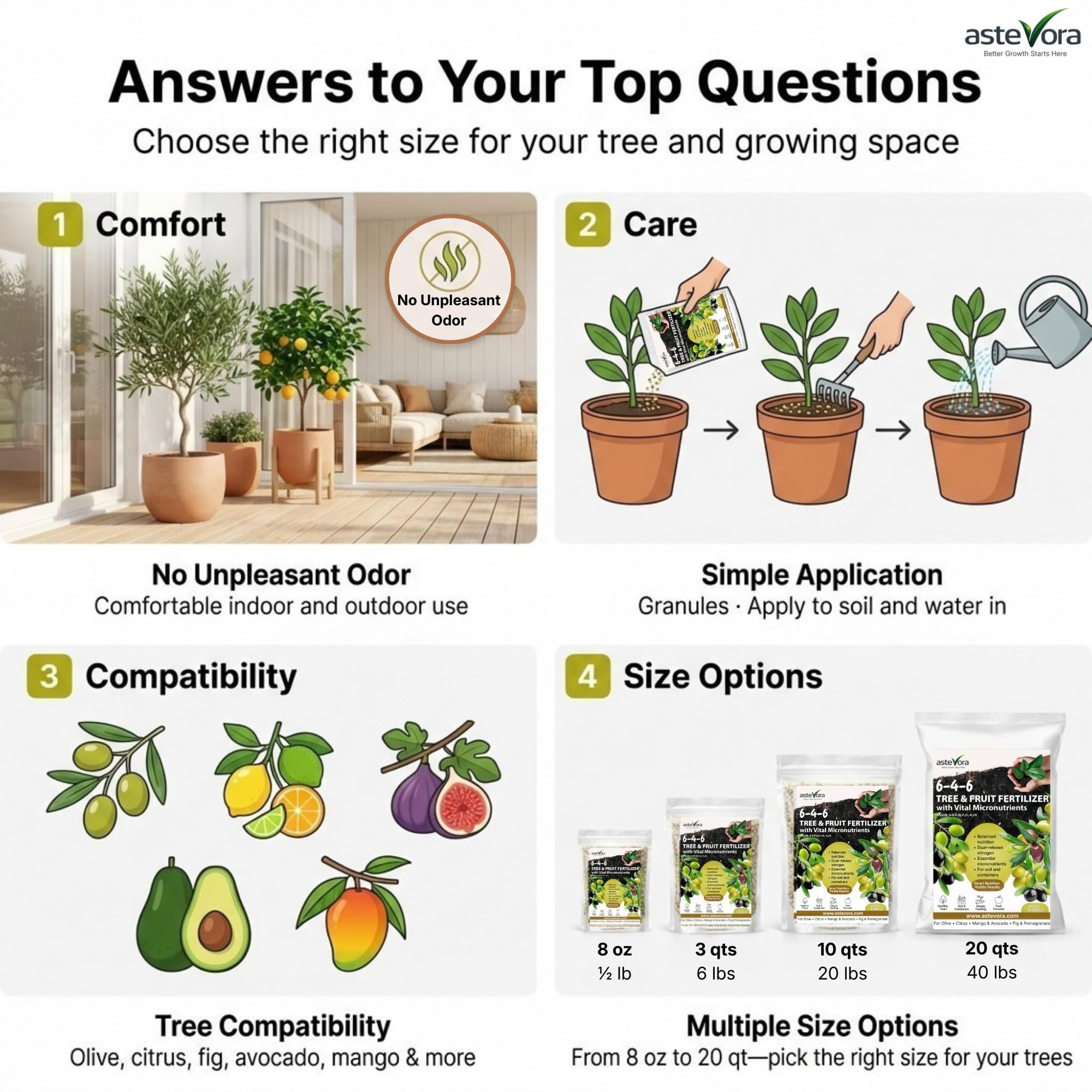 GARDENWISE Olive Tree Fertilizer beside healthy olive tree