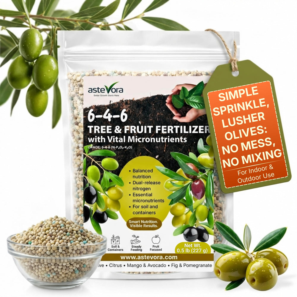 GARDENWISE Olive Tree Fertilizer front view, 240g granules