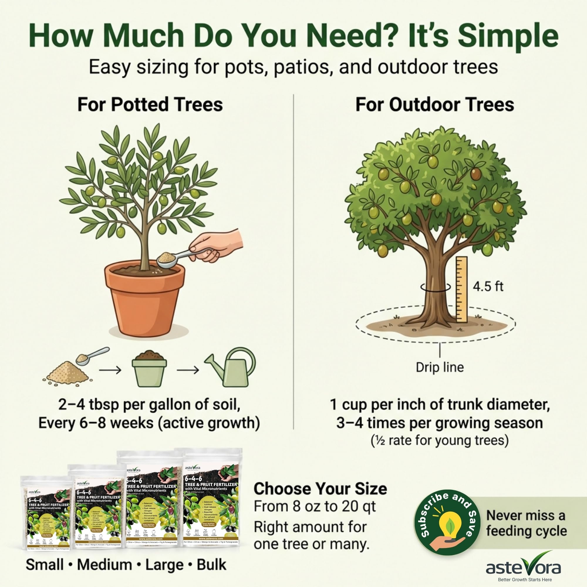 GARDENWISE Olive Tree Fertilizer in gardening setup