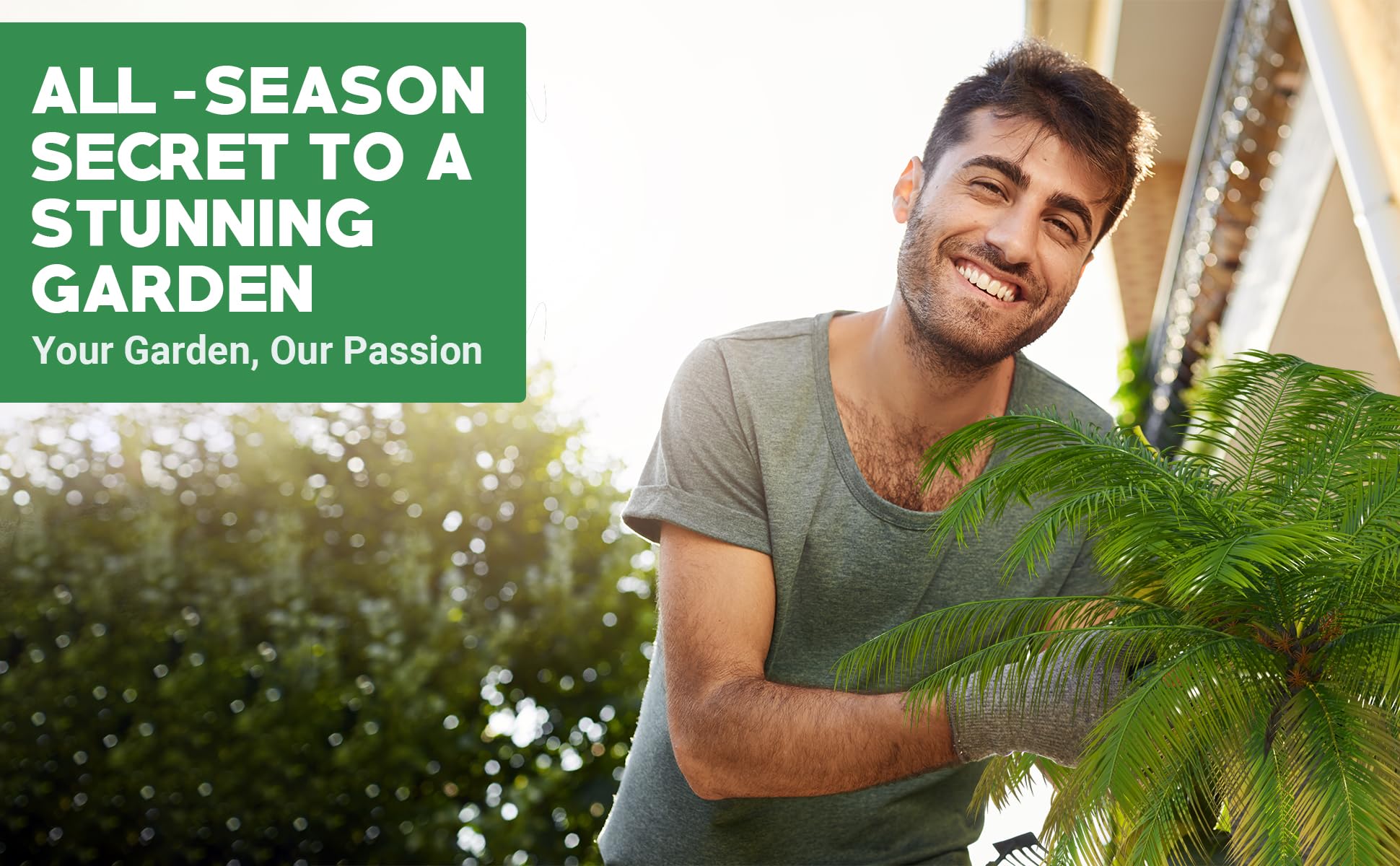 GARDENWISE Palm Tree Fertilizer pouring from bag