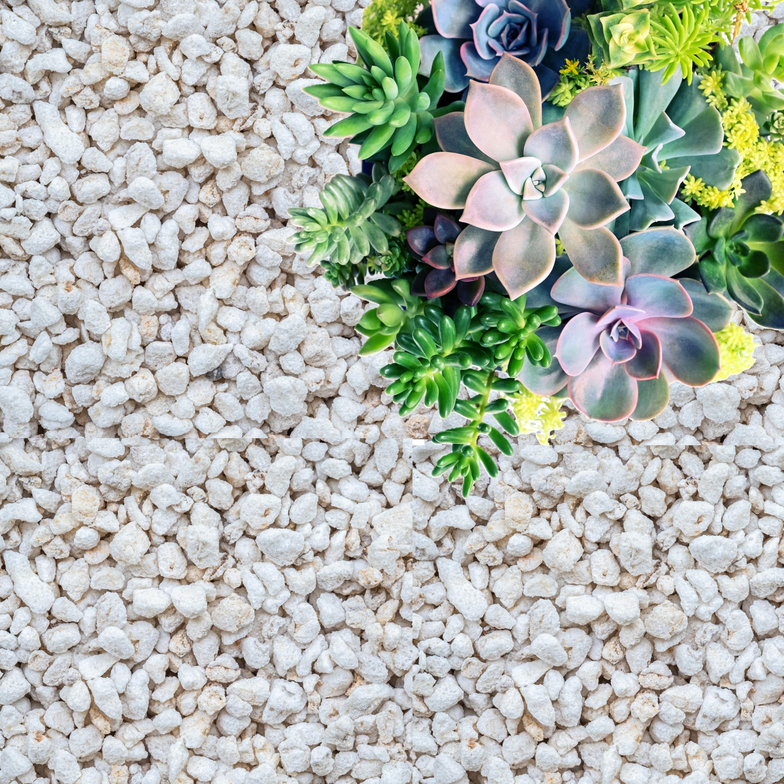 GARDENWISE Perlite for Plants, 30 Quarts bulk bag front view