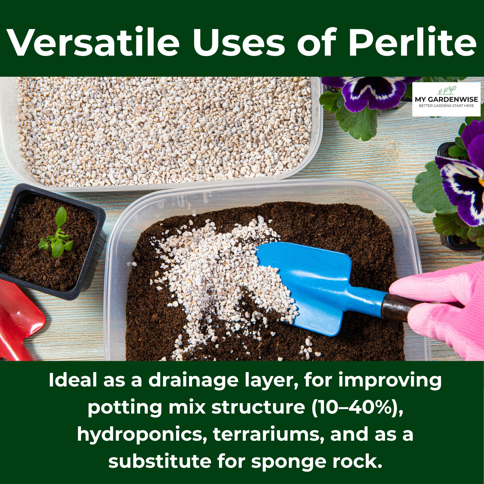 GARDENWISE perlite used in a terrarium for plants