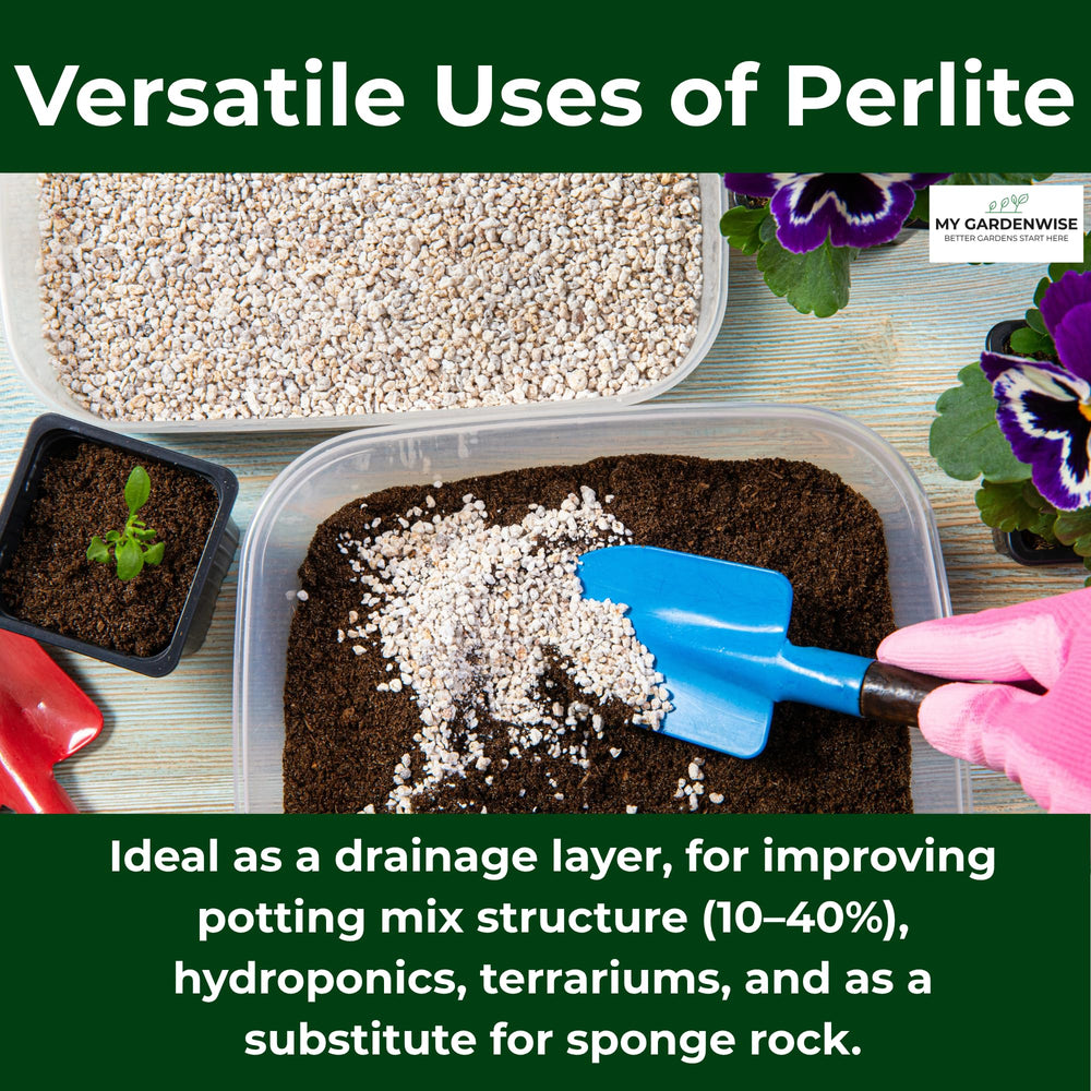GARDENWISE perlite used in a terrarium for plants