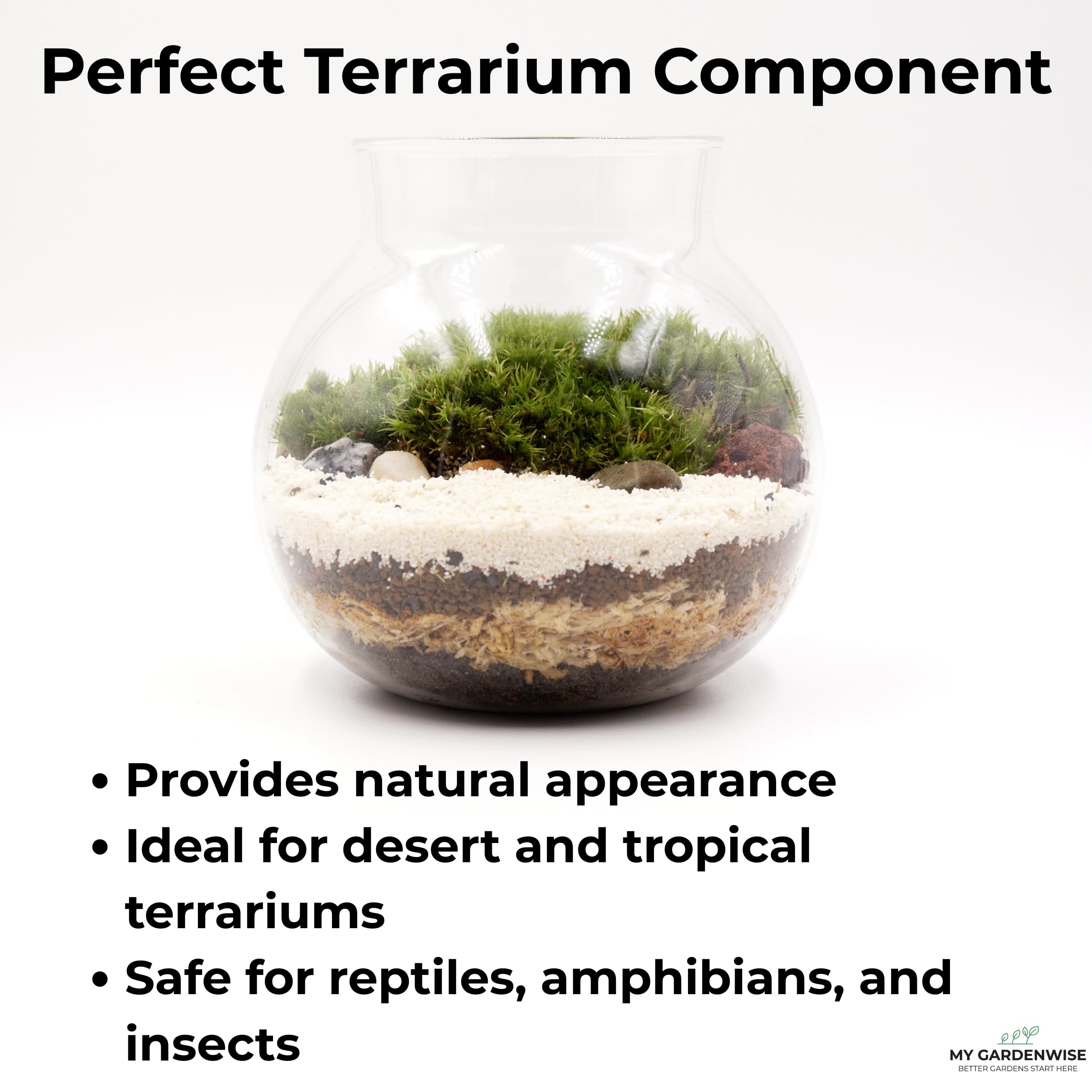 GARDENWISE sand in a clear terrarium with succulents
