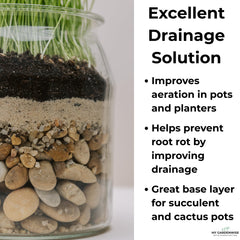 GARDENWISE sand used in a decorative indoor garden
