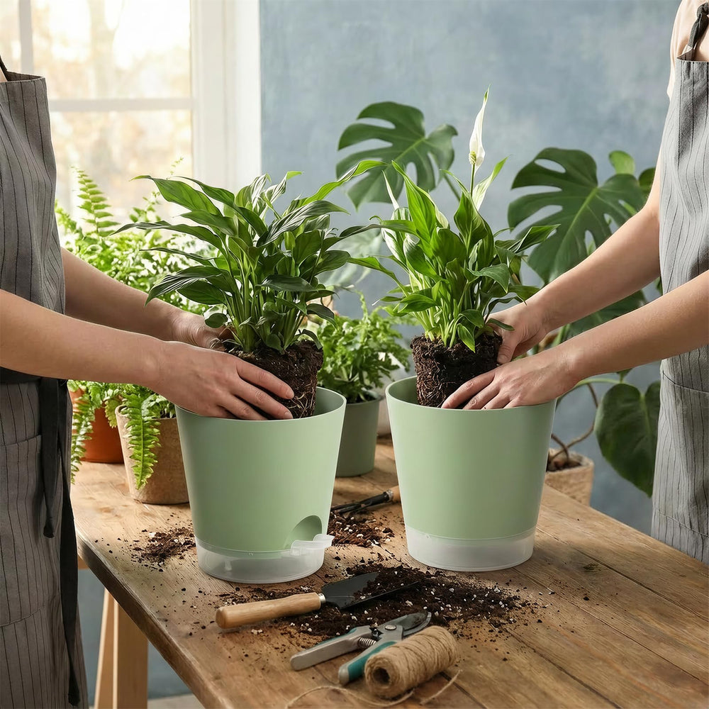 GARDIFE 6-inch pot for succulents and cacti